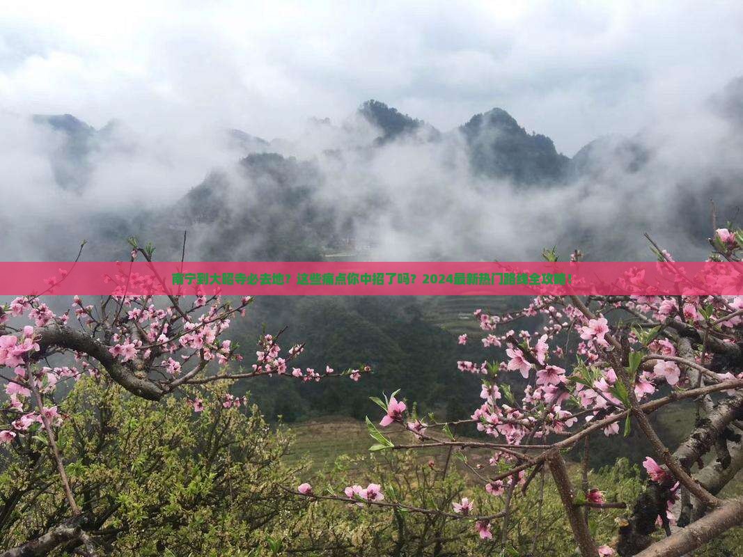 南宁到西藏大昭寺必去地