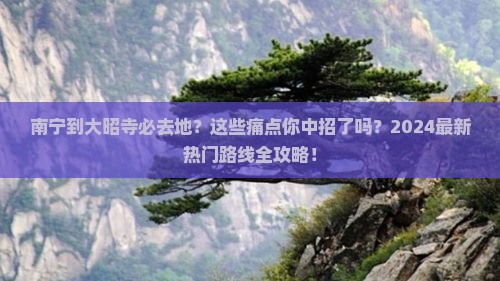 南宁到西藏大昭寺必去地