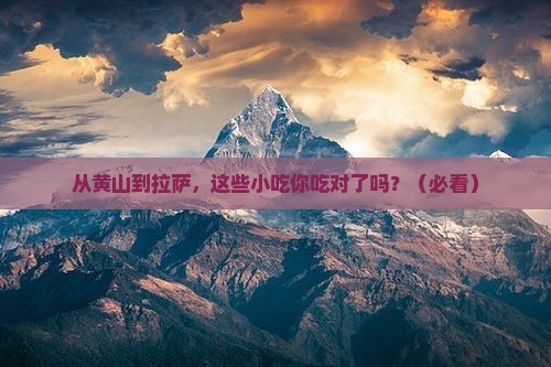 黄山到西藏拉萨旅游小吃