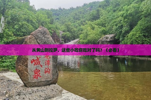 黄山到西藏拉萨旅游小吃