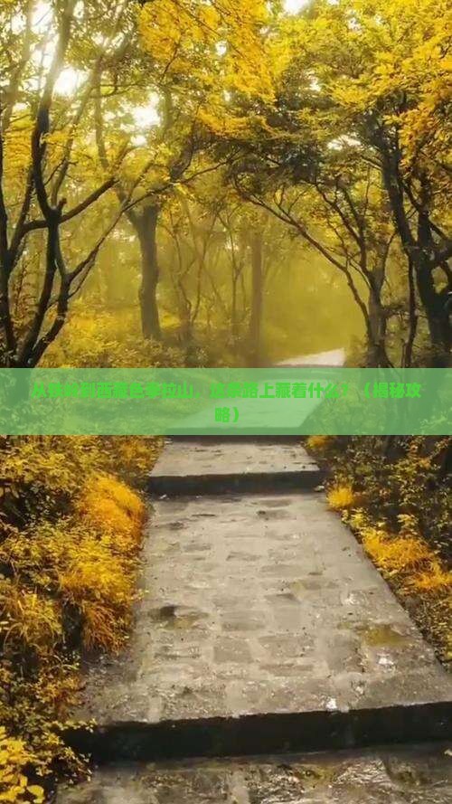 铁岭到西藏色季拉山哪里玩