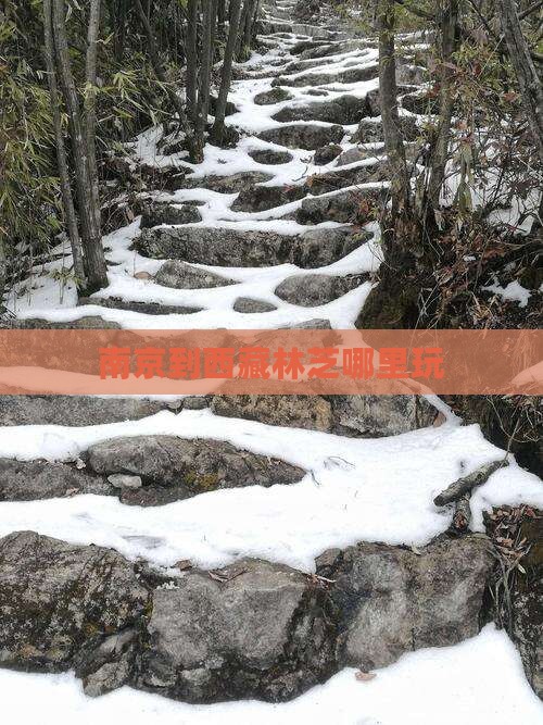 南京到西藏林芝哪里玩