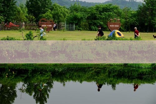 芜湖去西藏鲁朗小镇一日