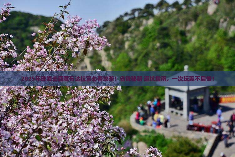珠海到西藏布达拉宫旅行社