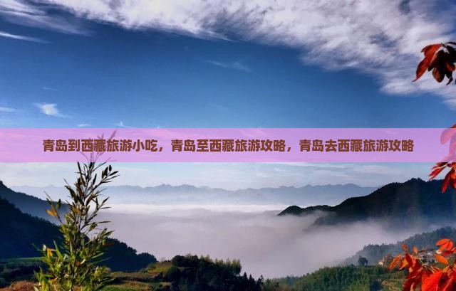 青岛到西藏旅游小吃