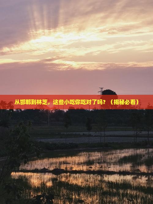 邯郸到西藏林芝旅游小吃