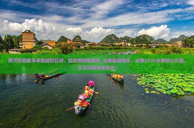 黑河到西藏羊卓雍措四日游