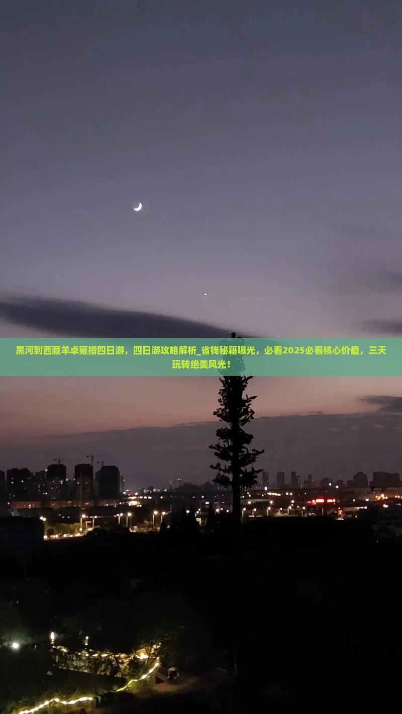 黑河到西藏羊卓雍措四日游