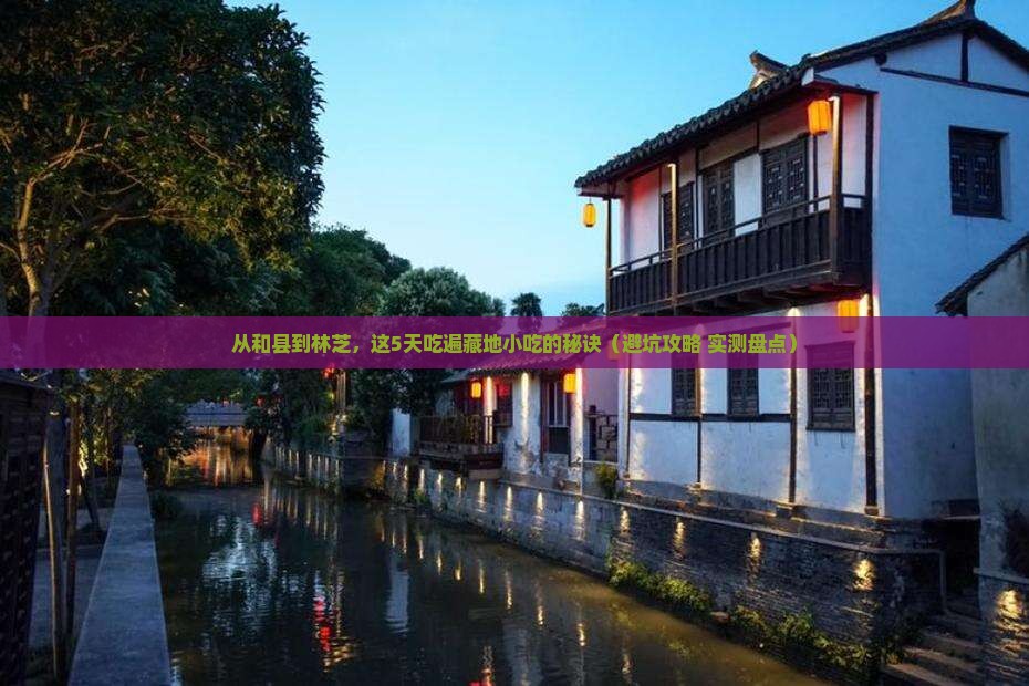 和县到西藏林芝旅游小吃