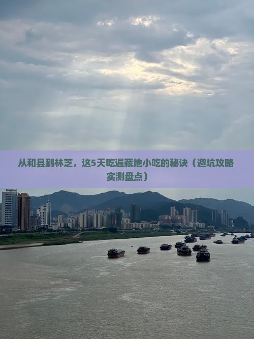 和县到西藏林芝旅游小吃