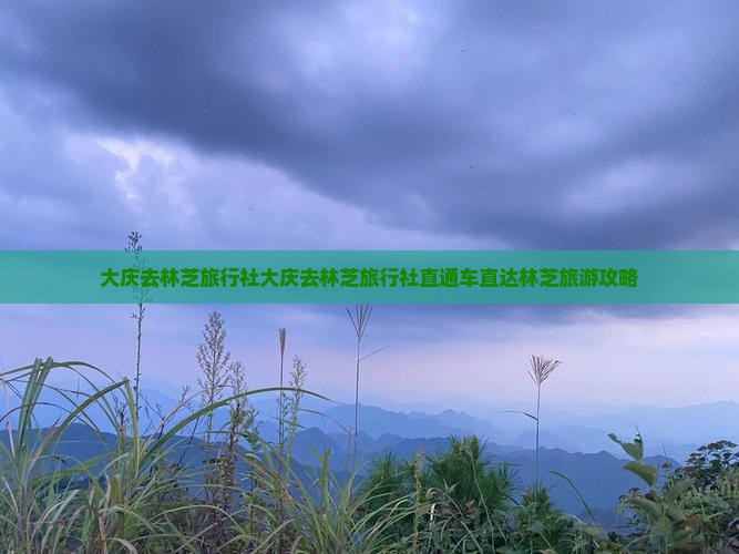 大庆去西藏林芝旅行社