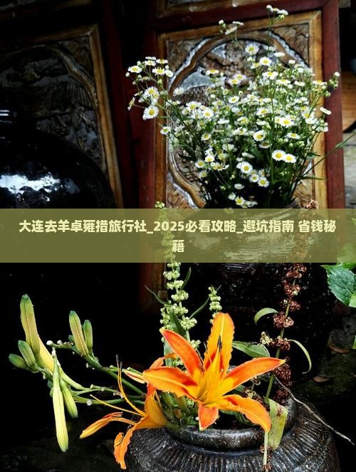 大连去西藏羊卓雍措旅行社