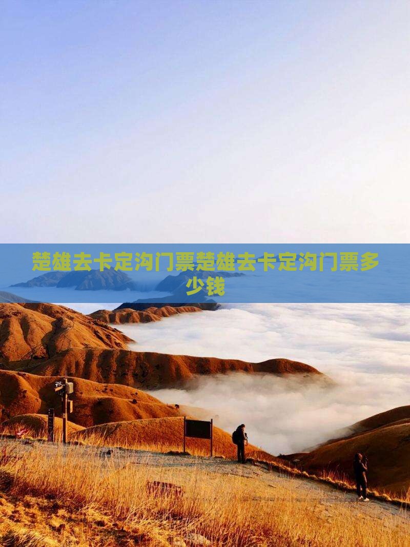 楚雄去西藏卡定沟门票