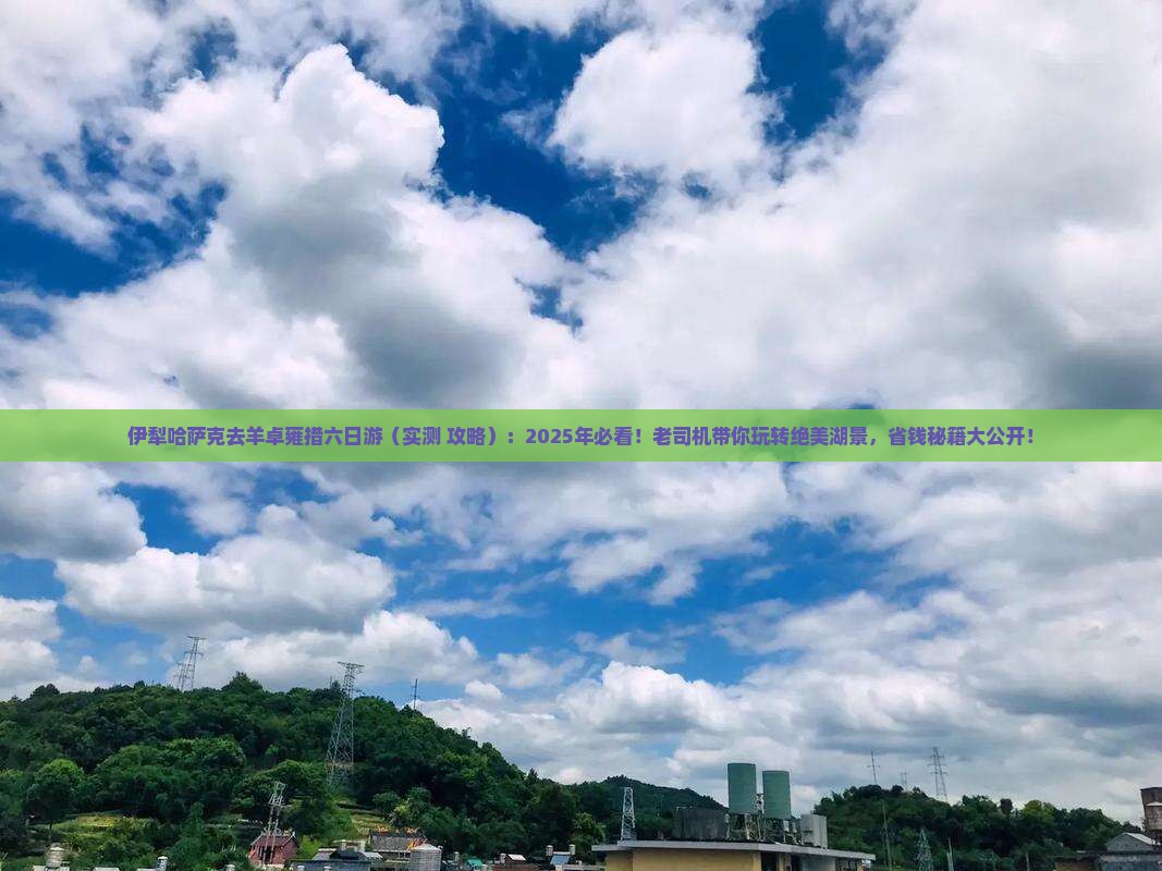 伊犁哈萨克去西藏羊卓雍措六日游