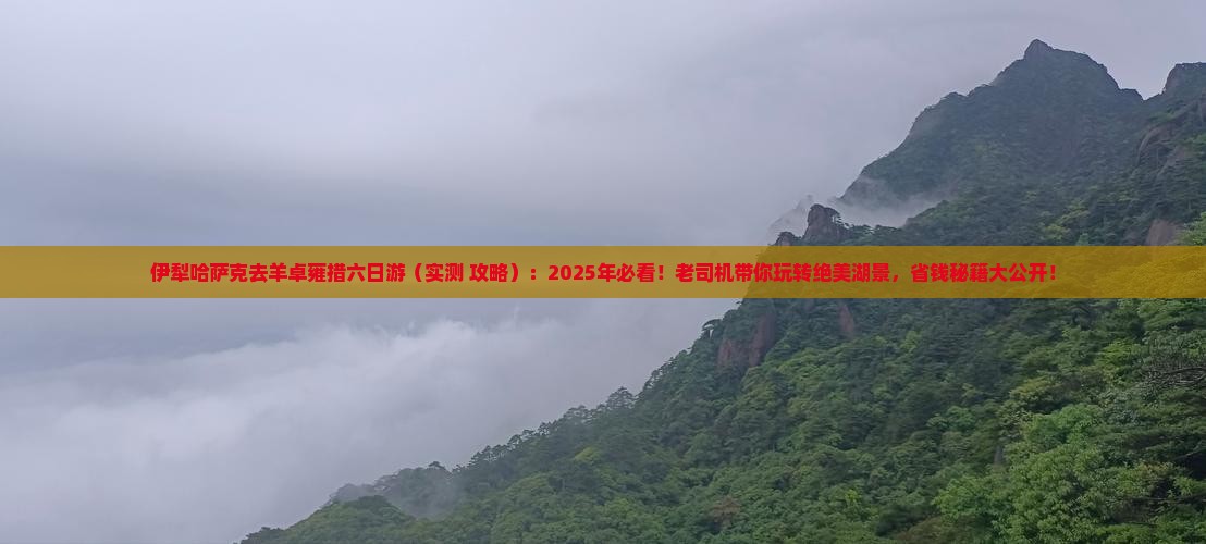 伊犁哈萨克去西藏羊卓雍措六日游