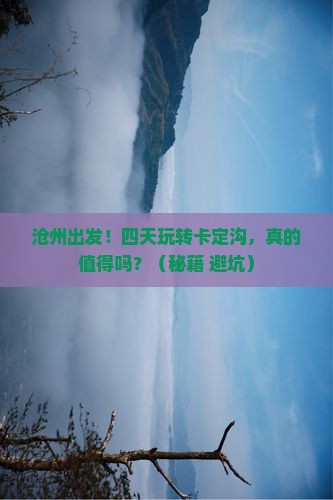 沧州到西藏卡定沟四日游