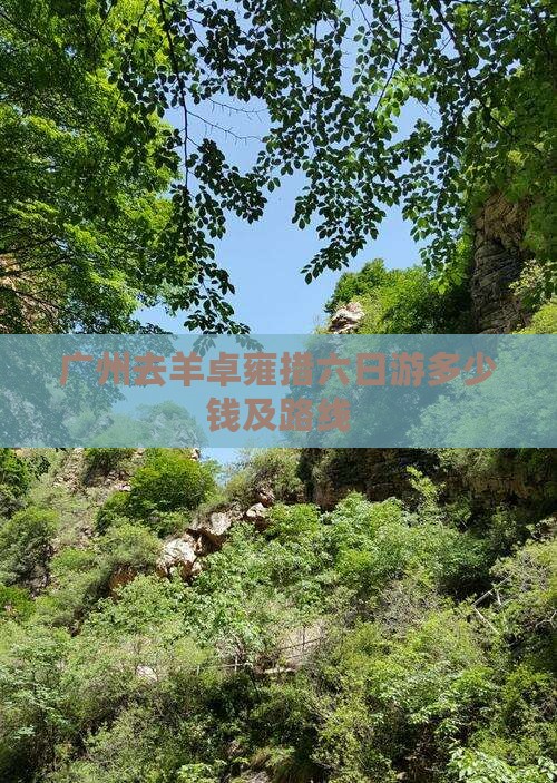 广州去西藏羊卓雍措六日游