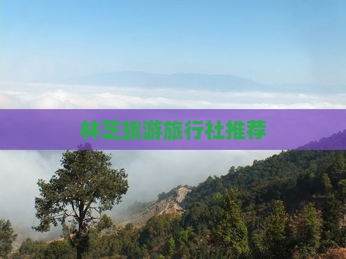 国庆节去西藏林芝旅行社