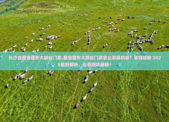 长沙去西藏雅鲁藏布大峡谷门票