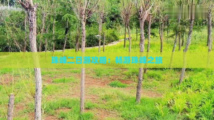 巴彦倬尔去西藏珠峰大本营二日游