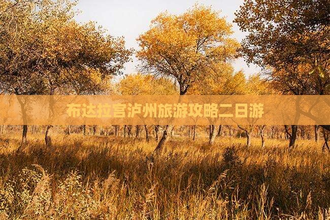 泸州去西藏布达拉宫二日游