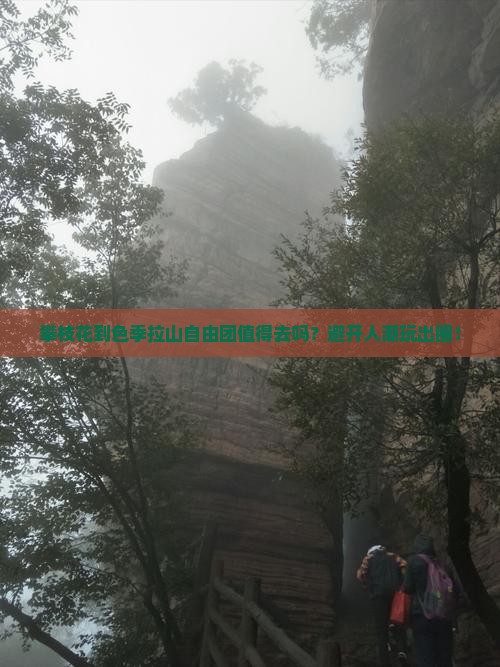 攀枝花到西藏色季拉山自由团