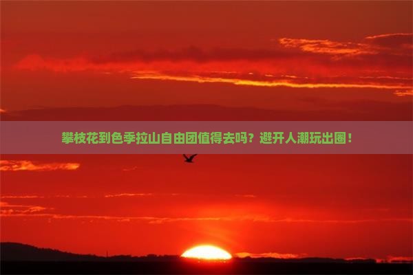 攀枝花到西藏色季拉山自由团