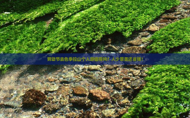 劳动节到西藏色季拉山个人游