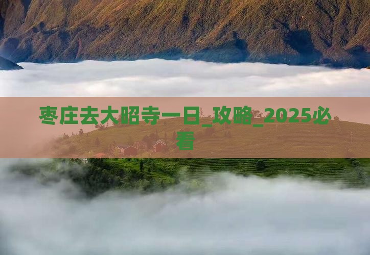 枣庄去西藏大昭寺一日