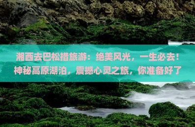 湘西去西藏巴松措旅游