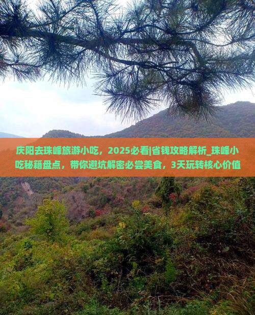 庆阳去西藏珠峰大本营旅游小吃