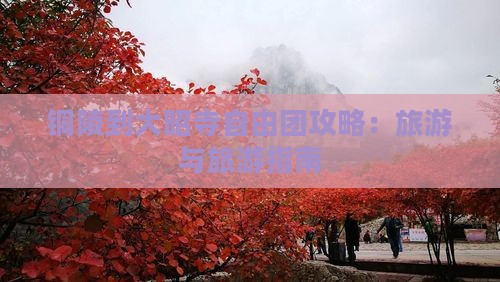 铜陵到西藏大昭寺自由团