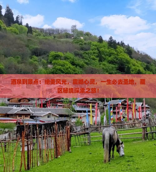 酒泉到西藏景点