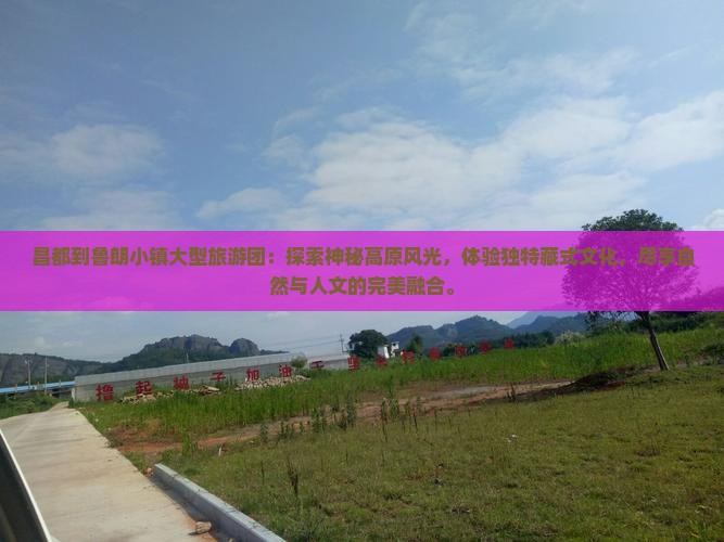 昌都到西藏鲁朗小镇大型旅游团