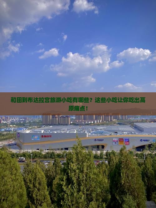 和田到西藏布达拉宫旅游小吃