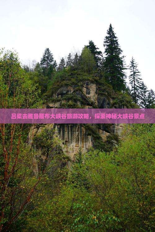 吕梁去西藏雅鲁藏布大峡谷景点