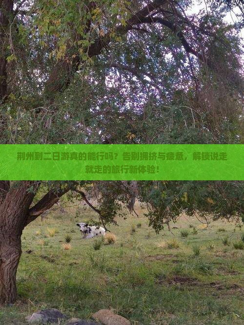 荆州到西藏二日游