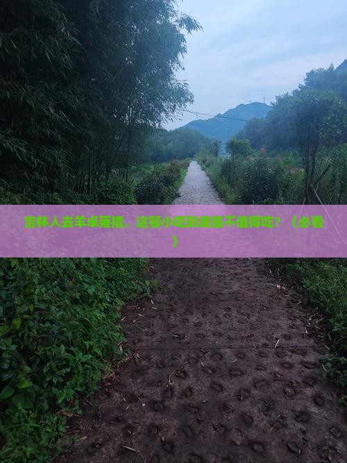吉林去西藏羊卓雍措旅游小吃