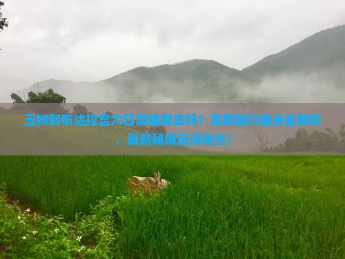 玉树到西藏布达拉宫六日游