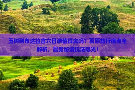 玉树到西藏布达拉宫六日游