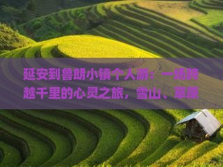 延安到西藏鲁朗小镇个人游