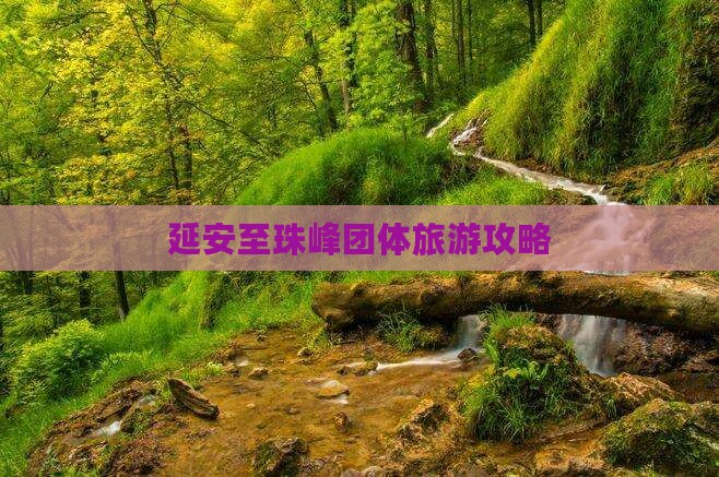 延安去西藏珠峰大本营团体旅游
