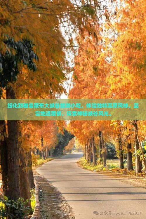绥化到西藏雅鲁藏布大峡谷旅游小吃