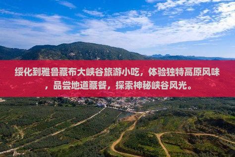 绥化到西藏雅鲁藏布大峡谷旅游小吃