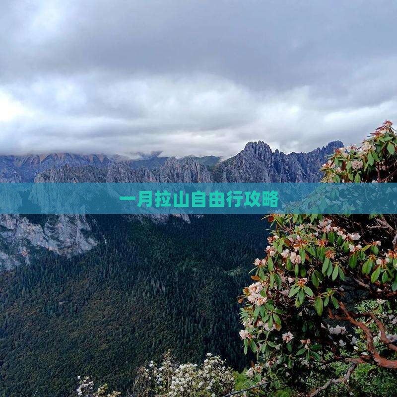 一月去西藏色季拉山自由团