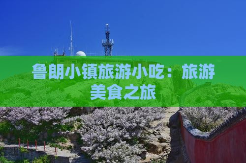 龙岩到西藏鲁朗小镇旅游小吃