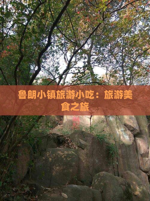 龙岩到西藏鲁朗小镇旅游小吃