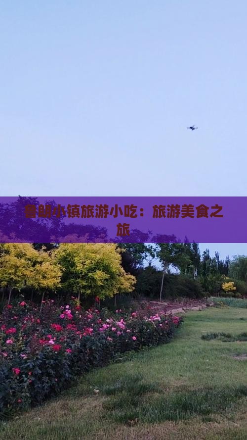 龙岩到西藏鲁朗小镇旅游小吃