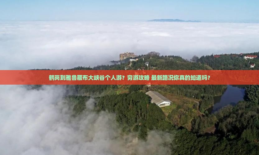 鹤岗到西藏雅鲁藏布大峡谷个人游