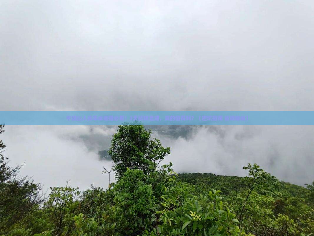 平顶山去西藏羊卓雍措旅行社